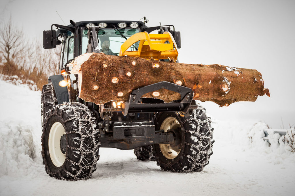 Dalen 2197 - ingen problem med store stokker