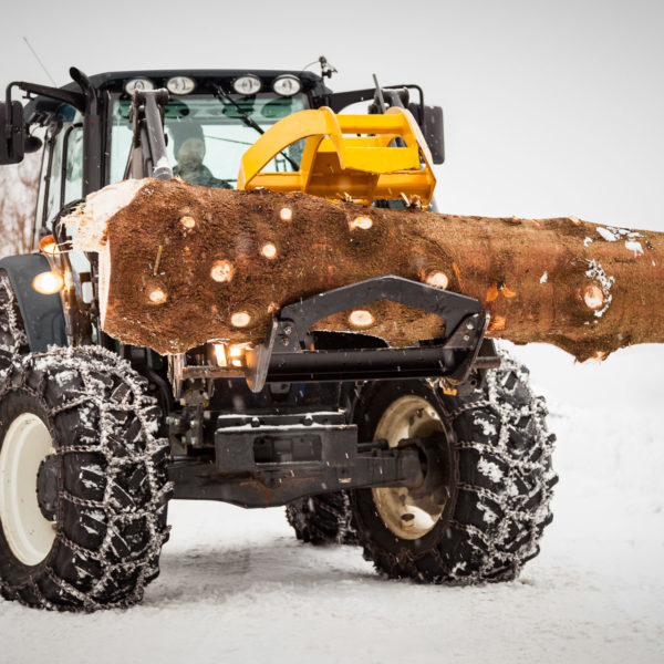 Dalen 2197 - ingen problem med store stokker